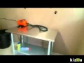 Kizoa Online Movie Maker Central Pointe Apartments Boise Idaho
