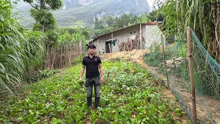 Rất tiếc phải đưa gấp cháu Lành về nhà chăm em khi mẹ đi Hải Phòng làm. Nguyễn Tất Thắng