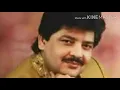 Dil Deewana Tera ho gaya hai | Udit Narayan | Valentine