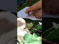 DAE amputee Ursula paints with her feet
