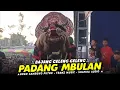Download Lagu Solah BAJANG GELENG GELENG Jaranan ROGO SAMBOYO PUTRO Live Tanggungmulyo Puncu KEDIRI.