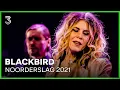 Download Lagu Blackbird op Noorderslag 2021 | 3FM Live Box | NPO 3FM