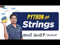 Python Strings String Methods in Python Python Tutorials in Telugu Python for Beginners