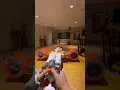 Nerf rhino fire