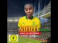 Shute