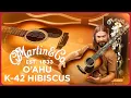 The Most Beautiful Guitar of 2026 Martin s K-42 O ahu Hibiscus Full Review Demo