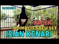 Lagu kacer isian kenari komplit satu set full jernih cocok untuk masteran murai batu dan cucak hijau