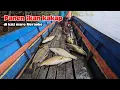 Download Lagu Mancing di sini ngak butuh waktu lama! Lempar umpan langsung di sambar || Spot kali maro Merauke. 
