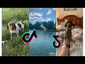 Cutest German Shorthaired Pointer Funny and Cute German Pointers Puppies and Dogs s
