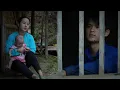 Download Lagu The price that Mai's brother had to pay, the most disadvantaged person was Hue - Day Life