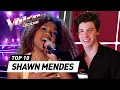 Download Lagu Phenomenal SHAWN MENDES covers on The Voice