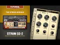 Strum GS-2 Tutorials The String Module