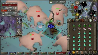 Spec Transfer Bloodvelds