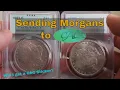 SENDING MORGAN SILVER DOLLARS to CAC for CERTIFICATION