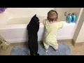 Download Lagu Als je kinderen opgroeien met een kat en ze alles samen doen