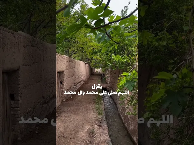 ⁣أثر الصلاة على محمد وآل محمد 💚 #السيد_محمد_رضا_الشيرازي