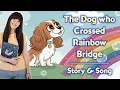 Helping Children Say Goodbye to a Beloved Pet Heartfelt Kids Story Song Rainbow Bridge
