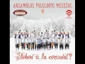 Download Lagu Ansamblul Mesesul - Aseara pe-nserat