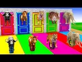 Download Lagu Long Slide Game with Cow Elephant Gorilla Hippopotamus Tiger 3d Animal Game Funny 3d Animals
