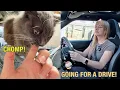 Download Lagu Getting My Fingers Chewed Off! \u0026 First Filmed Drive!
