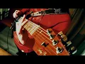 Download Lagu That's Life Electric Guitar Cover - Harley Benton Fusion Pro II Spark Positive Grid