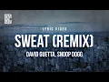 Download Lagu David Guetta feat. Snoop Dogg - Sweat (Remix) | Lyrics