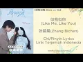 Lagu Like Me, Like You - Zhang Bichen (似我似你 - 张碧晨) OST Shine on Me《骄阳似我 》Lirik Terjemah Indonesia Subindo
