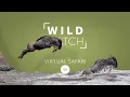 Lagu Finally, a crossing! | WILDwatch virtual safari 56