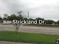 New Auto Parts Store