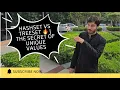 8 Java Set Collection Explained HashSet vs TreeSet