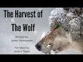 The Harvest Of The Wolf - Reddit nosleep