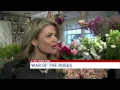 Valentine s Day War of the Roses