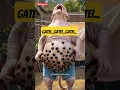 Download Lagu Gatel.. Gatel.. Gatelnya Kebangetan!Tonjolan Misterius di Perut Ayah Kucing bikin Gatel! #kucinglucu