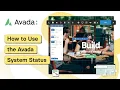How to Use the Avada System Status