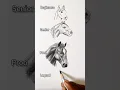 how to draw a horse ArtwithBir - 9