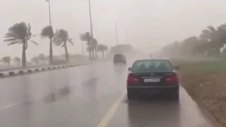 عاصفة برد و مطر تقتلع بعض الاشجار في مدينة العين 