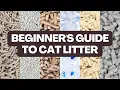What TYPE of Cat Litter Should You Buy Beginner s Guide