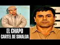 Download Lagu El Chapo Guzmán: The Kingpin of the Sinaloa Cartel - Documentary