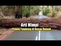 Download Lagu Arti Mimpi Pohon Tumbang di Depan Rumah