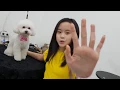 Download Lagu Clarice Cutie - Saatnya Rocket di Grooming