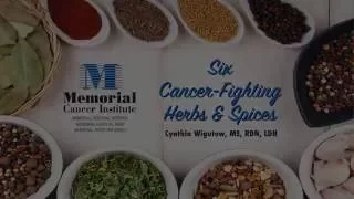 Killer T Cell: The Cancer Assassin. 