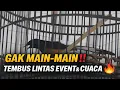 Lagu GAK MAIN-MAIN‼️MULAI TEMBUS LINTAS EVENT \u0026 CUACA 🔥MURAI BATU SENJA | TEAM KAMPRET SF