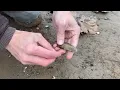Clovis Tip Arrowhead Find