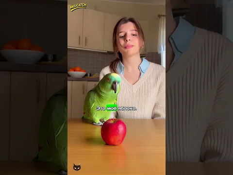 ГОША СОСТАВИЛ РАСПИСАНИЕ НА ЯБЛОКО! 😱🍎 У НЕГО ЕСТЬ ЗАНАЧКА ПЕЧЕНЬЯ!