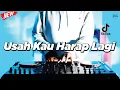 Download Lagu DJ USAH KAU HARAP LAGI SAYANG - REMIX NOSTALGIA VIRAL FULLBASS TERBARU 2024 (DJ KEVIN)