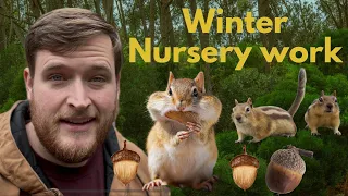winter nursery work