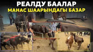 Манас шаарындагы Мал базар 🔥 #малбазар #койбазар #атбазар #рекомендации #кыргызстан 