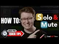 Quick and Handy Ways to Solo and Mute in Logic Pro From Regions to Groups of Tracks