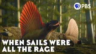 Why Were Sails So Popular 300 Million Years Ago