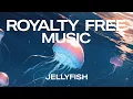 Download Lagu Gratis achtergrondmuziek | Jellyfish - Declan DP